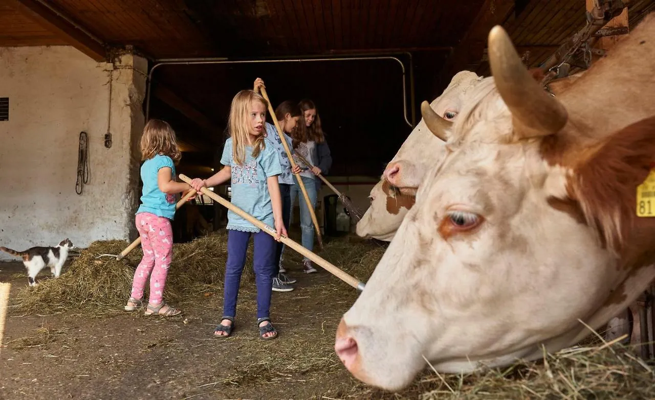Farm stay Schoffahanslhof Arnbruck
