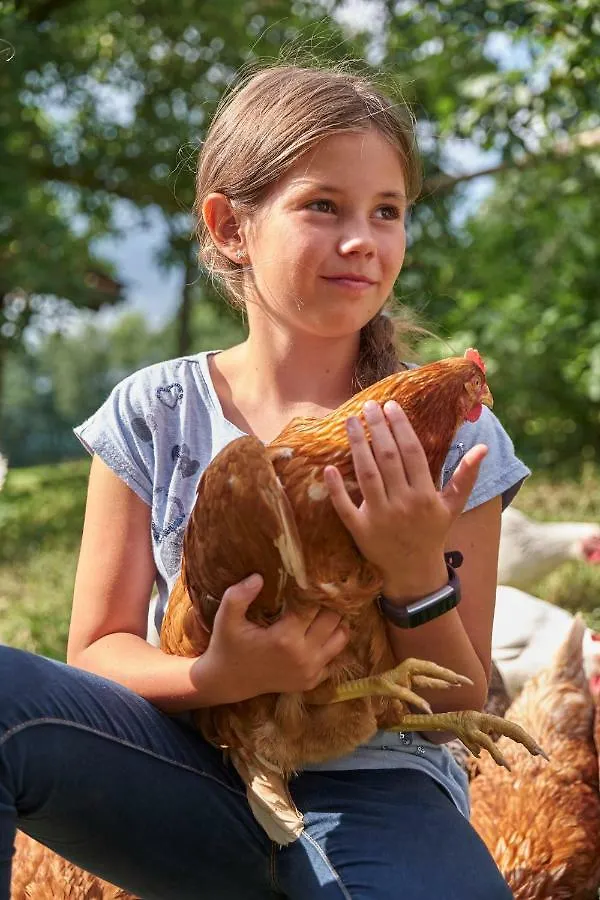 Schoffahanslhof Arnbruck Farm stay